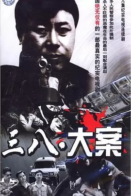 沈阳三八大案侦破纪实